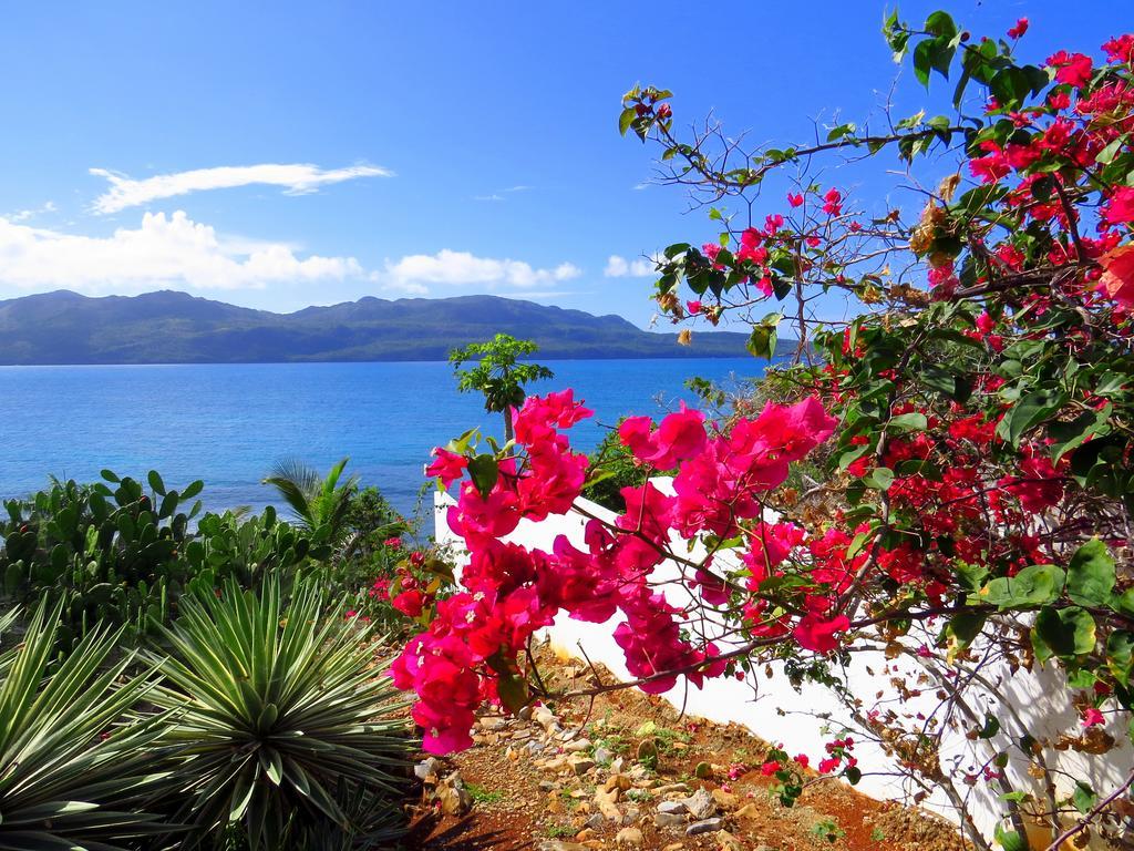 Villa Salamandra Las Galeras Zewnętrze zdjęcie
